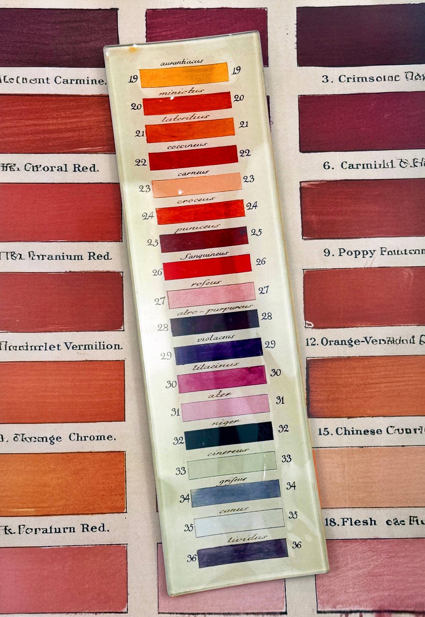 Paint Palette Decoupage Glass Tray