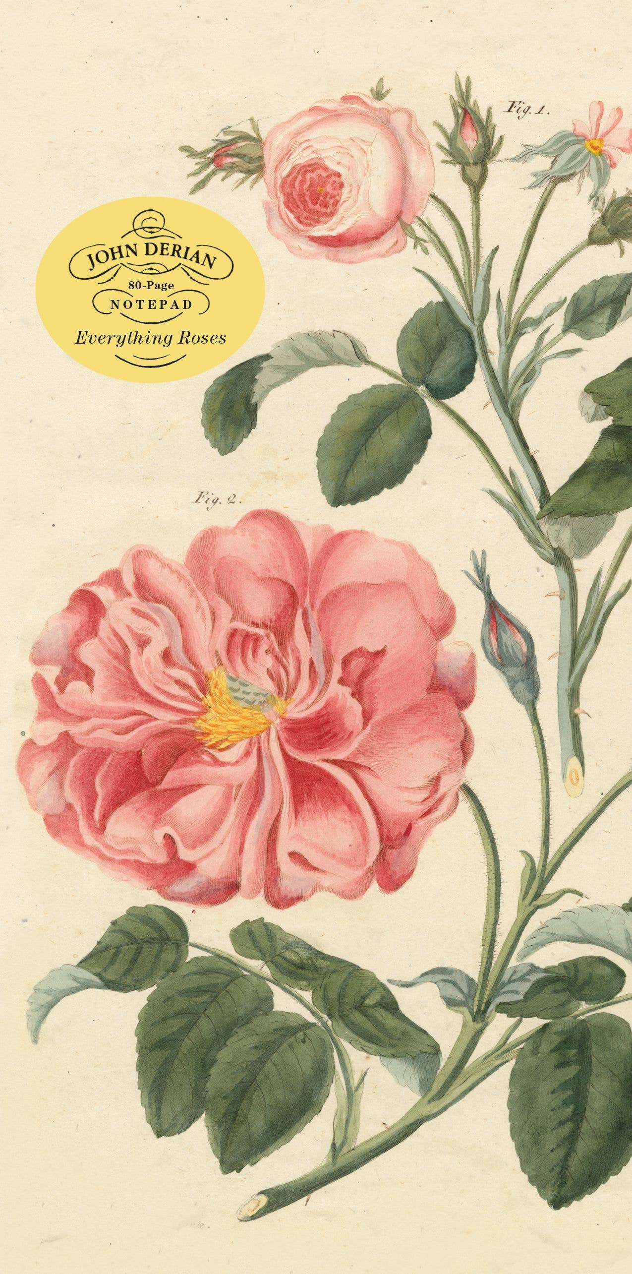 John Derian | Everything Roses Notepad