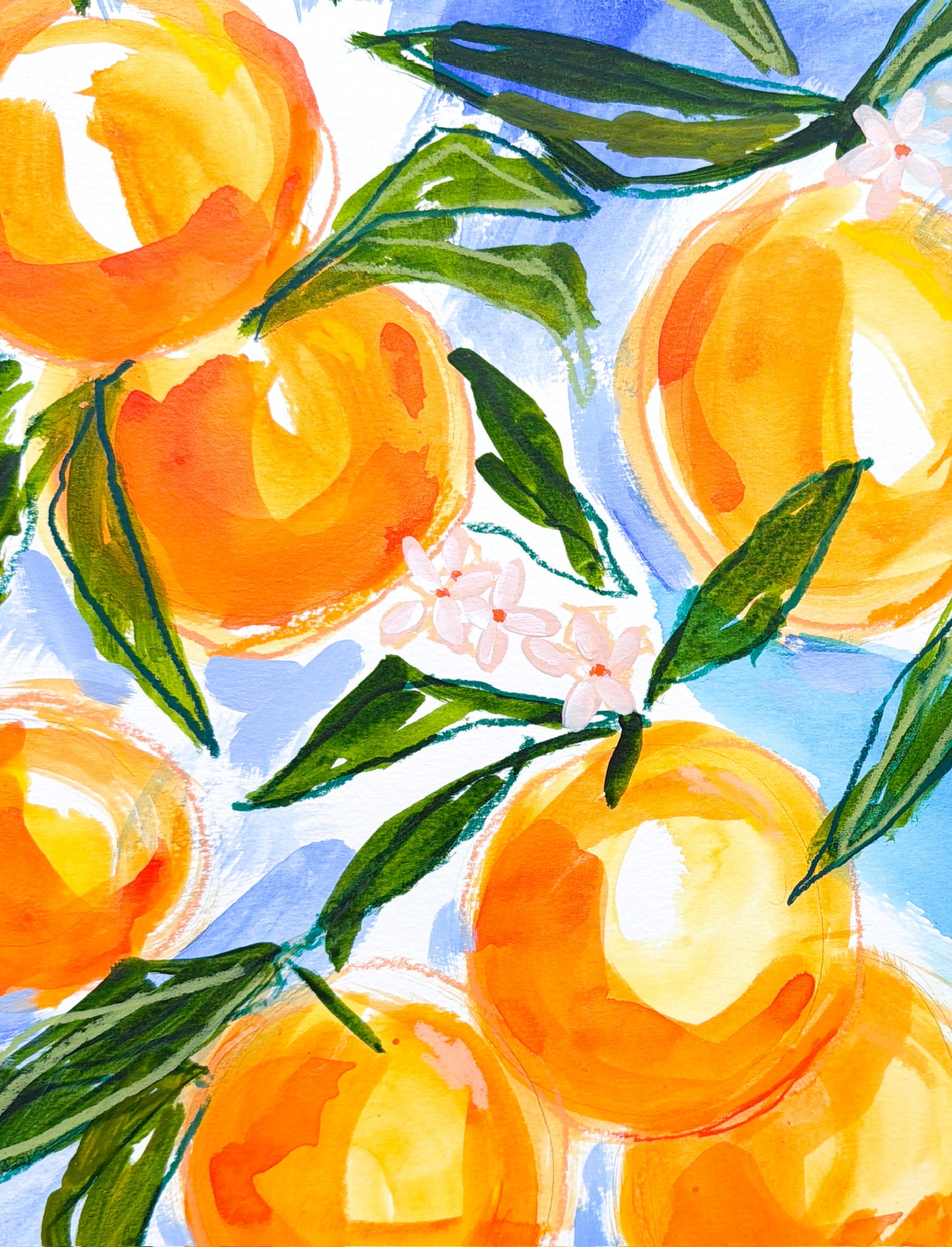 Aranciata Picnic I | 18 x 24