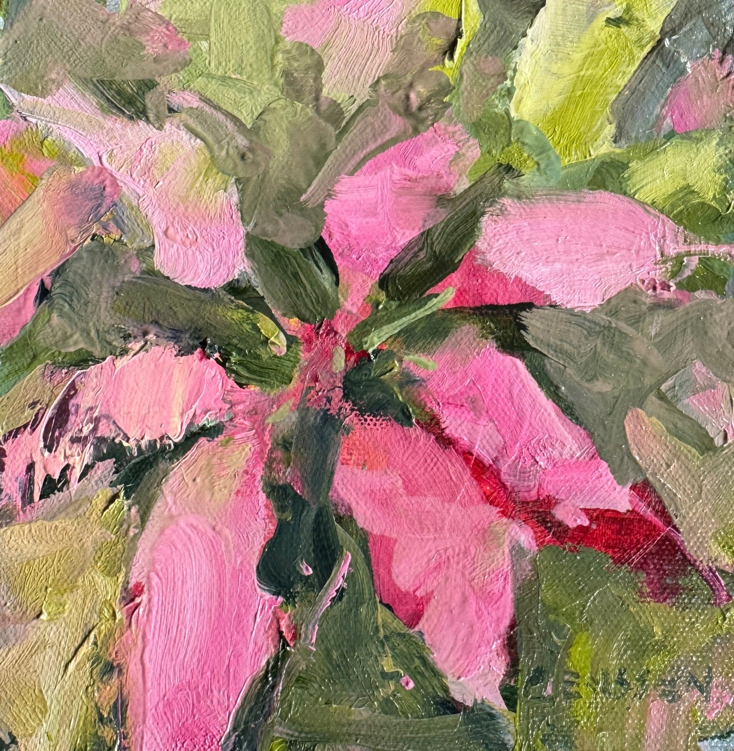 Blushed Pink | 6 x 6