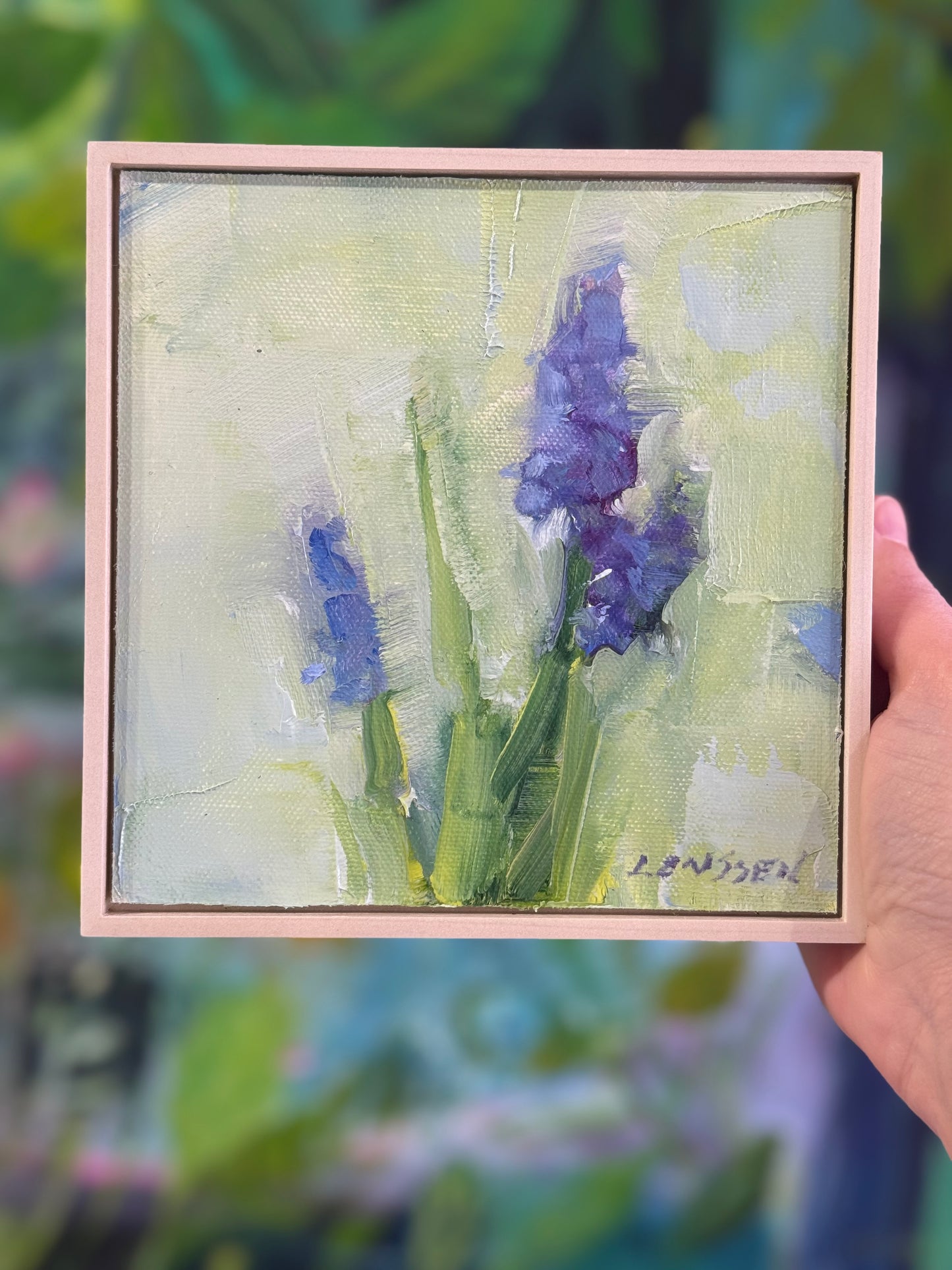 Muscari | 6 x 6