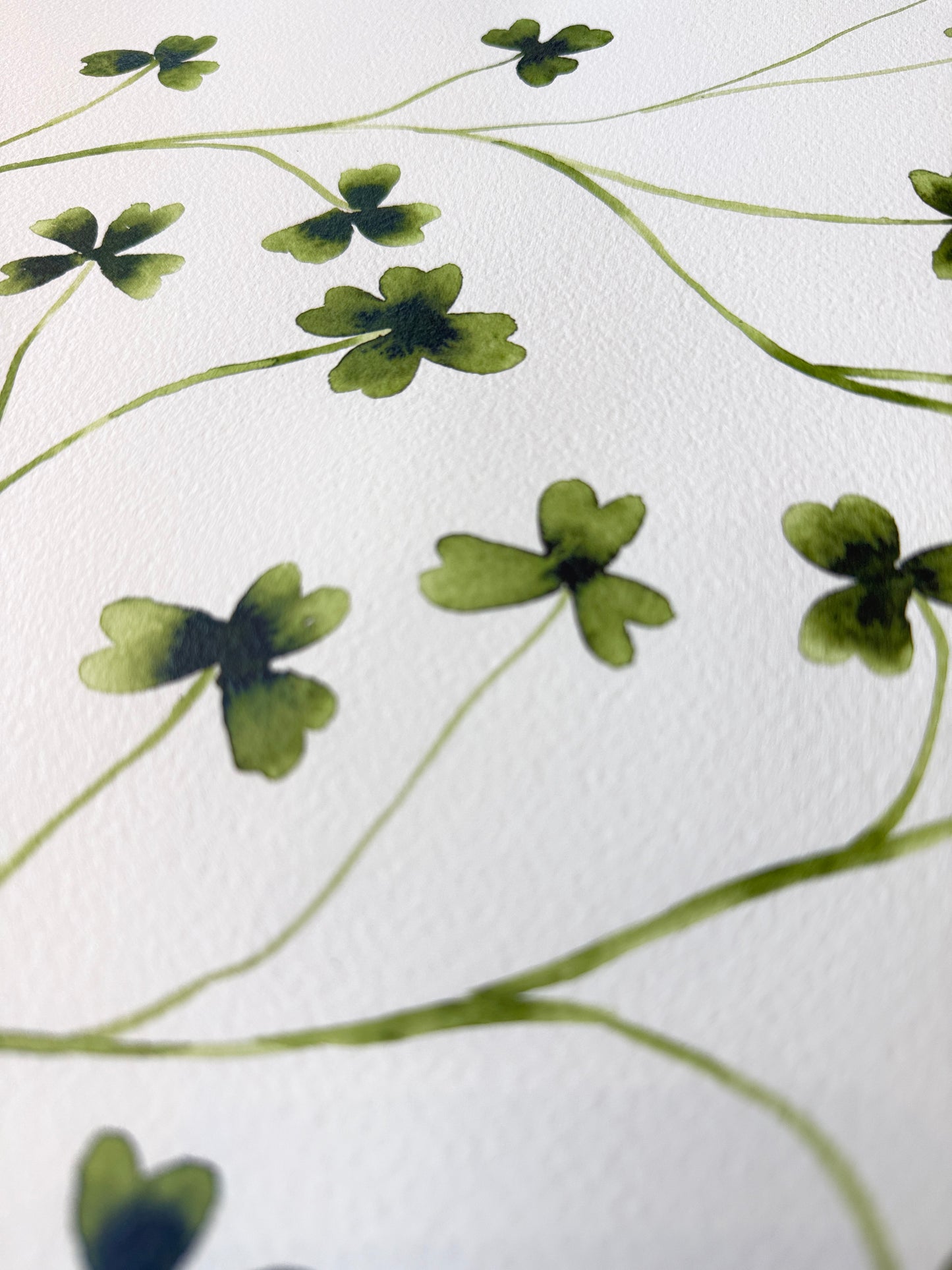 Clover No. 3 | 11.5 x 14