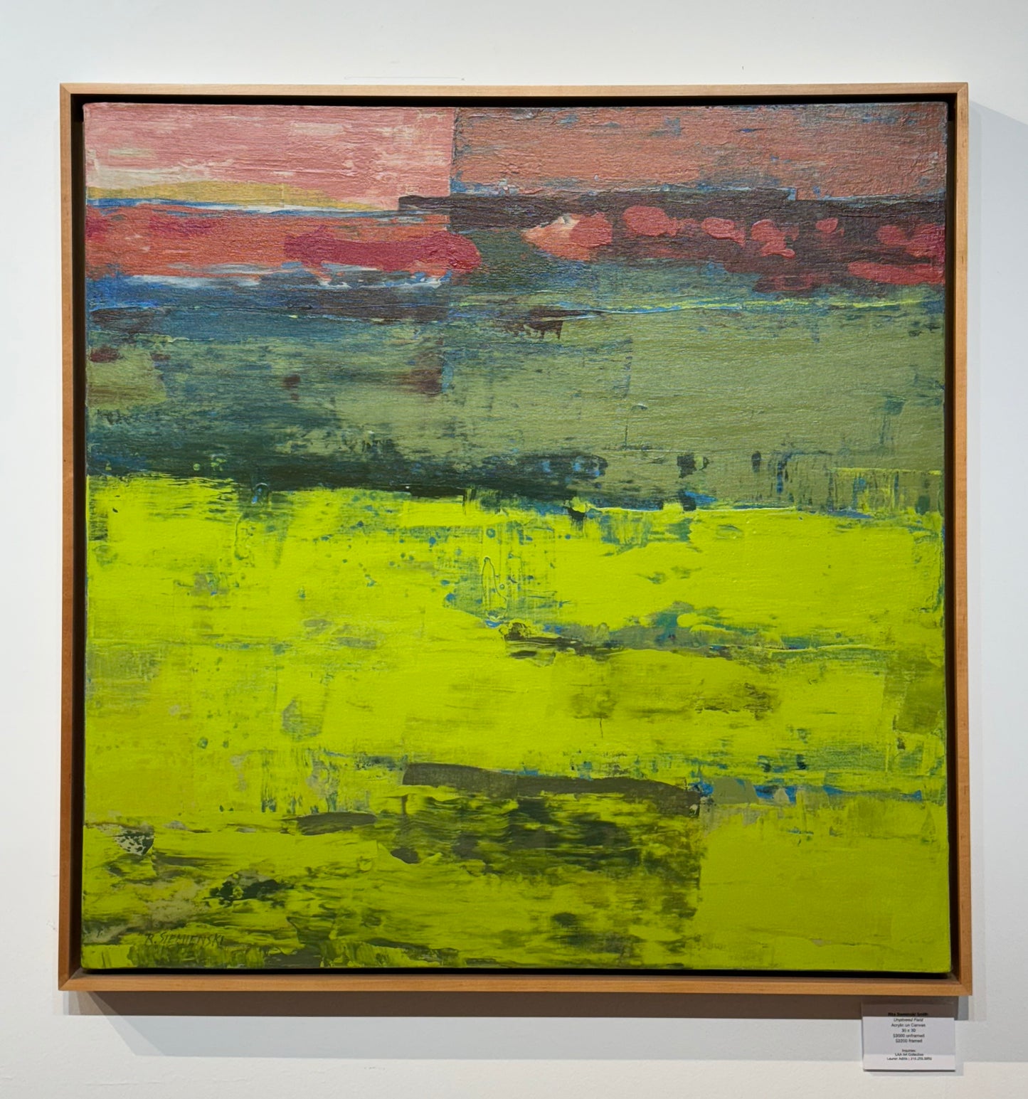Unplowed Field | 30 x 30 (framed)