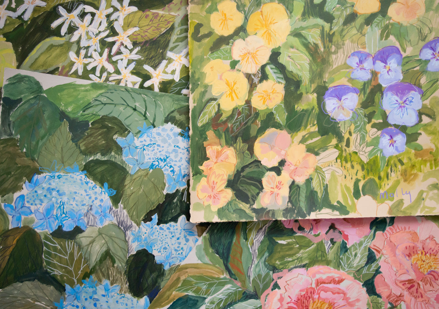 Pansy | 18 x 24