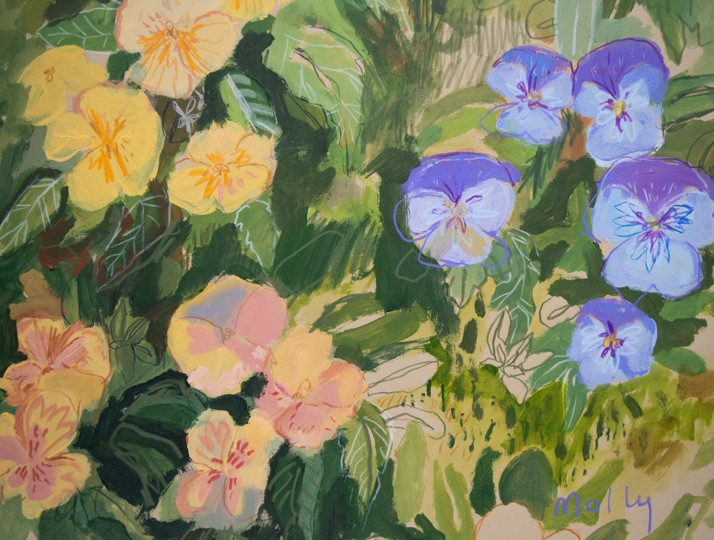 Pansy | 18 x 24