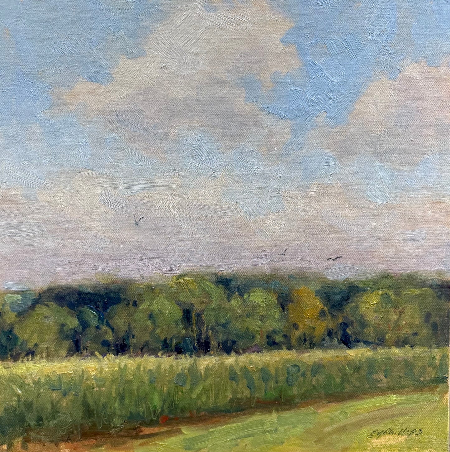 Summer Morning | 12 x 12