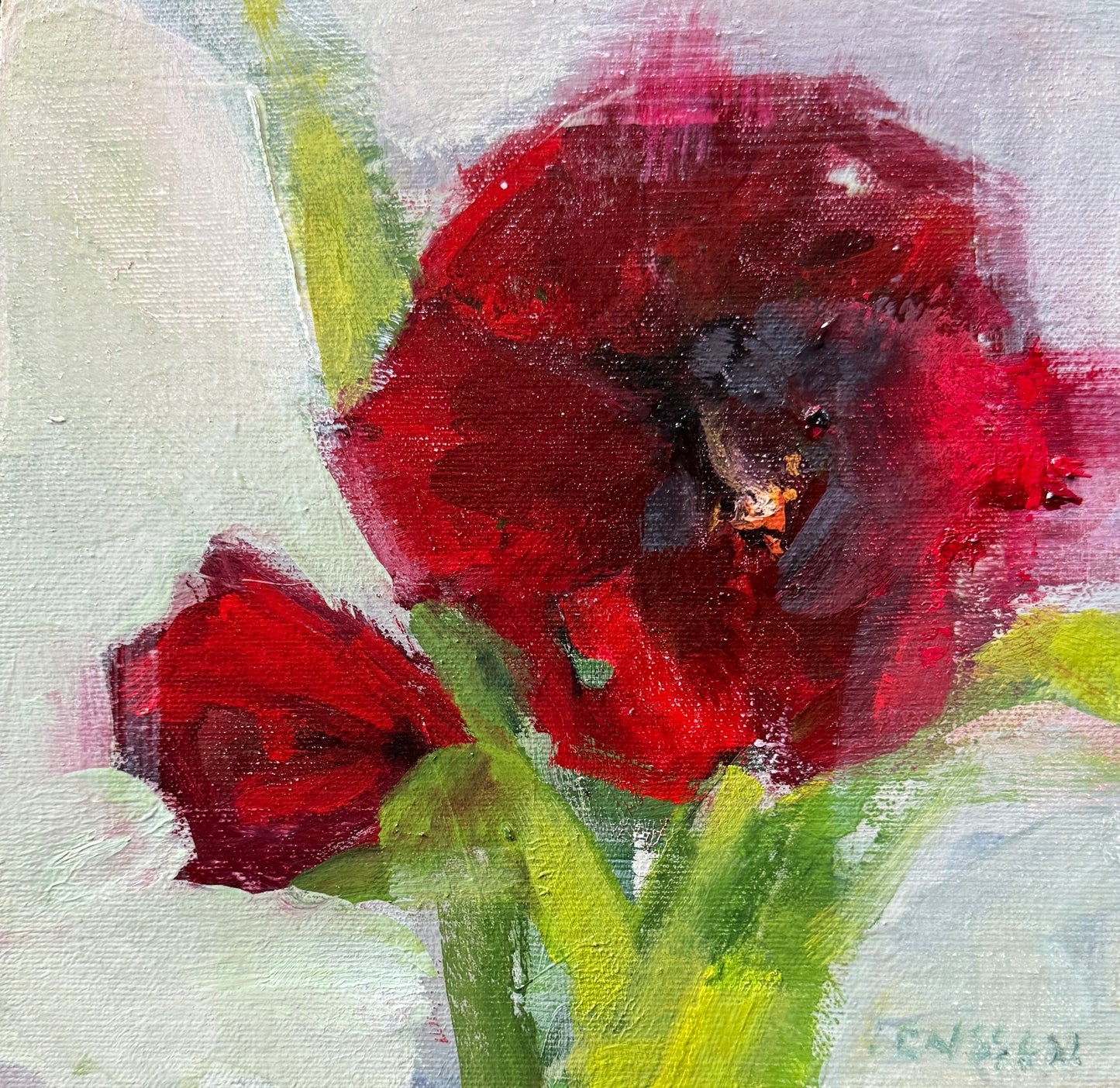 Richly Red | 8 x 8