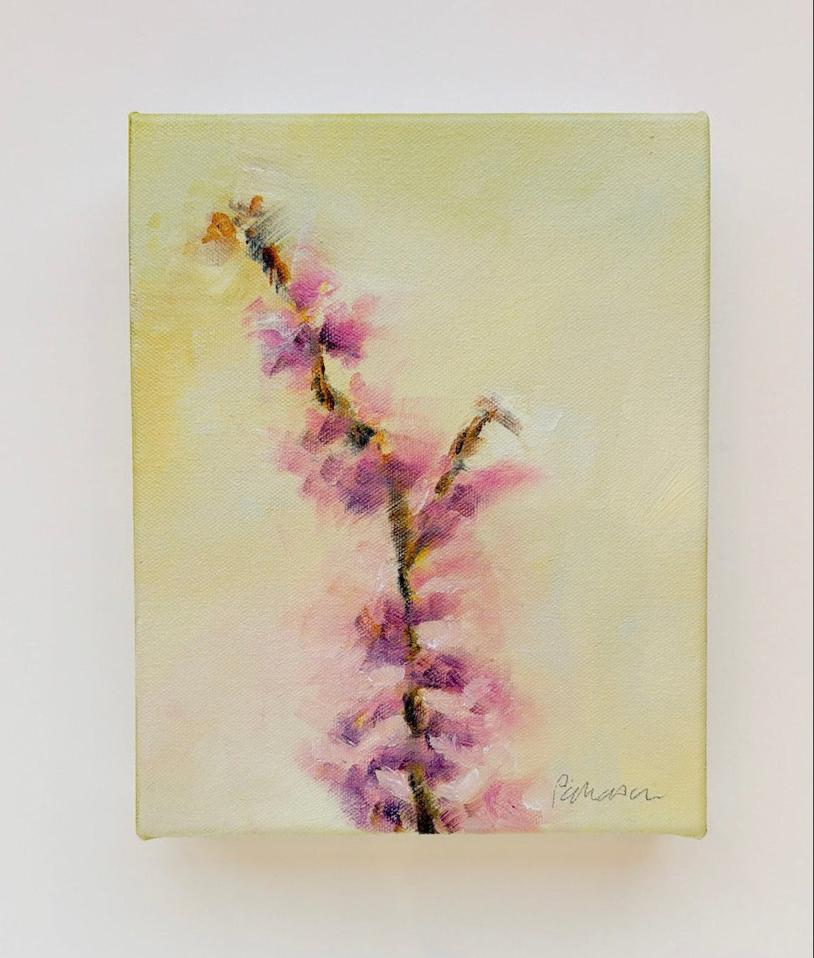 Soft Red Petals | 8 x 10