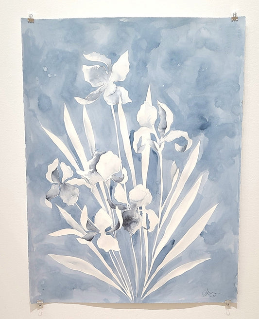 Jessica LoPresto |  Iris in Silhouette