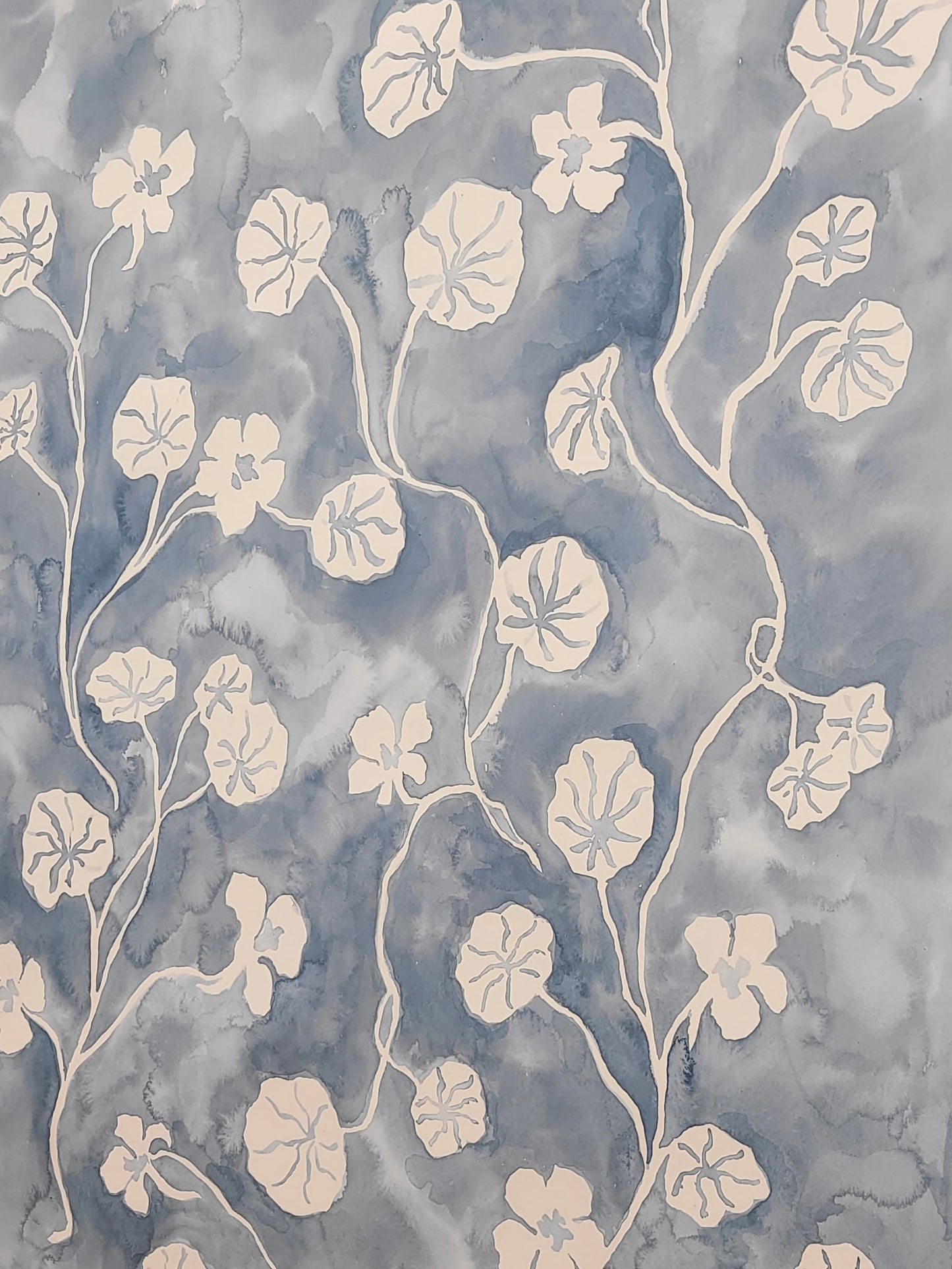 Jessica LoPresto |  Nasturtiums in Silhouette