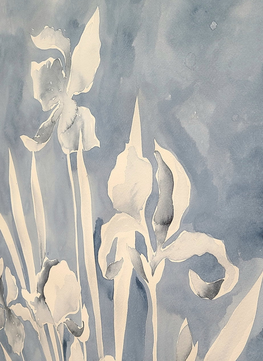 Jessica LoPresto |  Iris in Silhouette