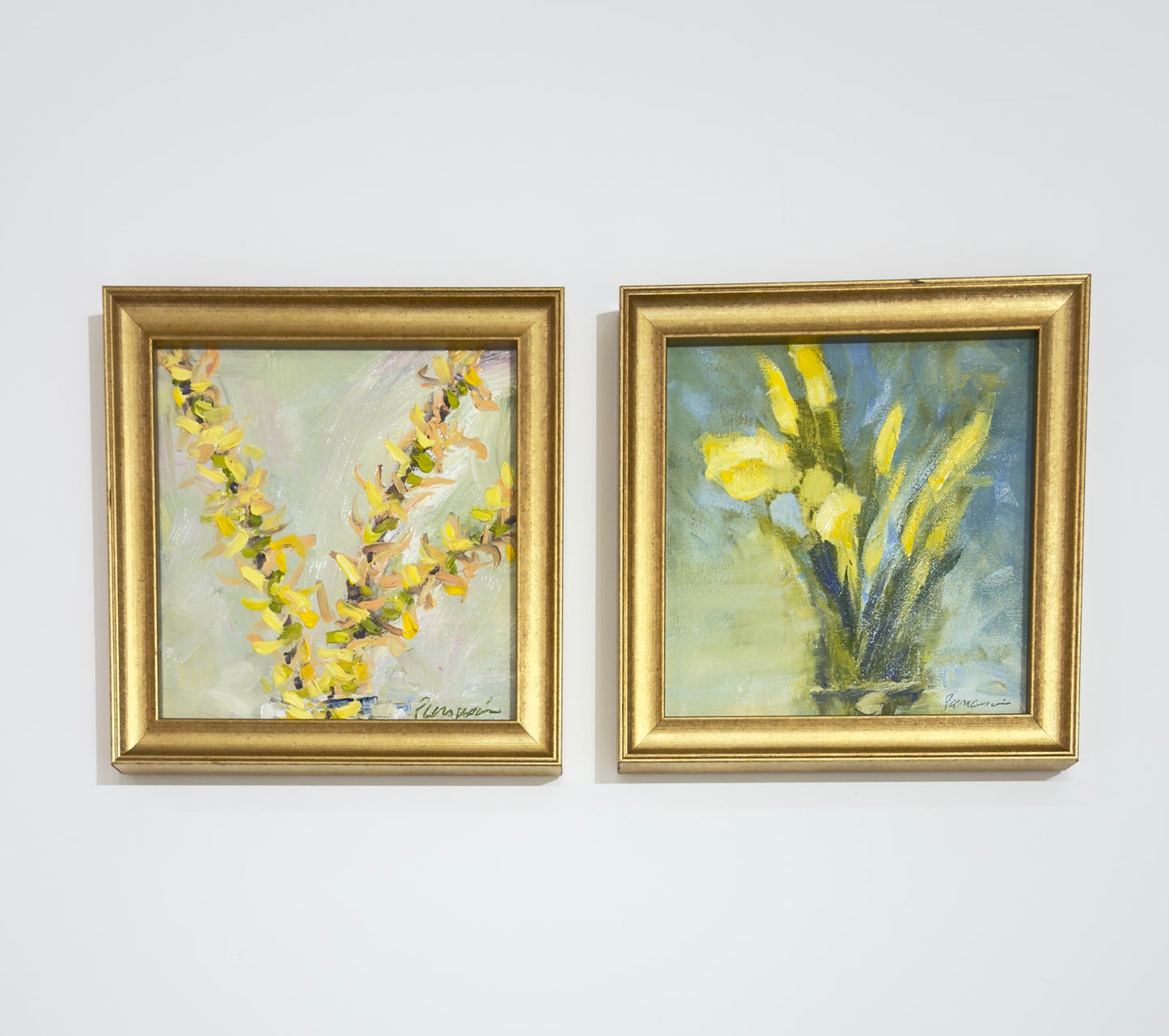 Daffodil Buds in Spring |  8 x 8