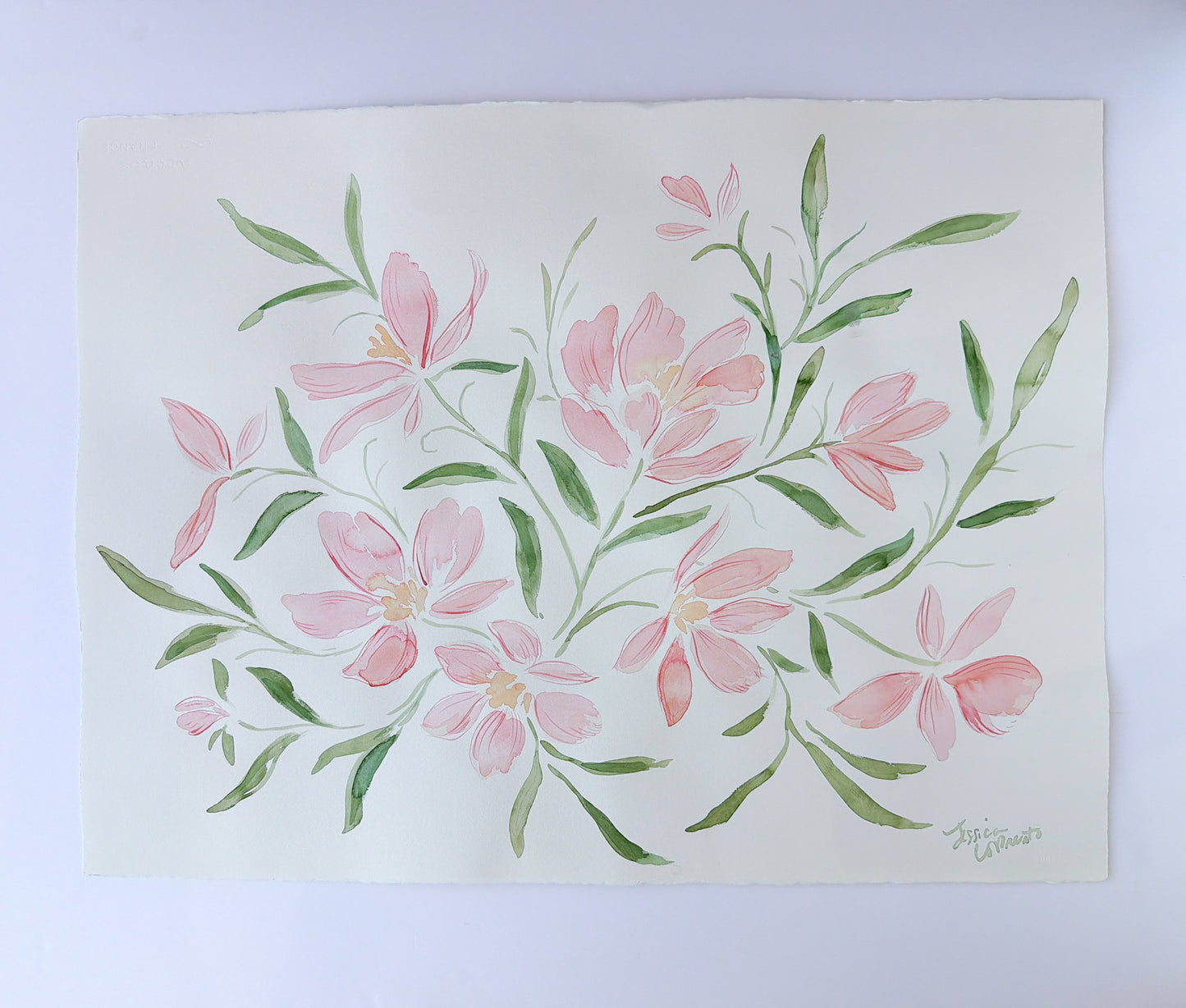 Pink Blossoms | 22 x 30