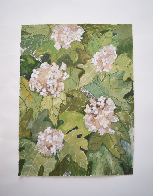 Antique Oak Leaf No. 2  |  18 x 24