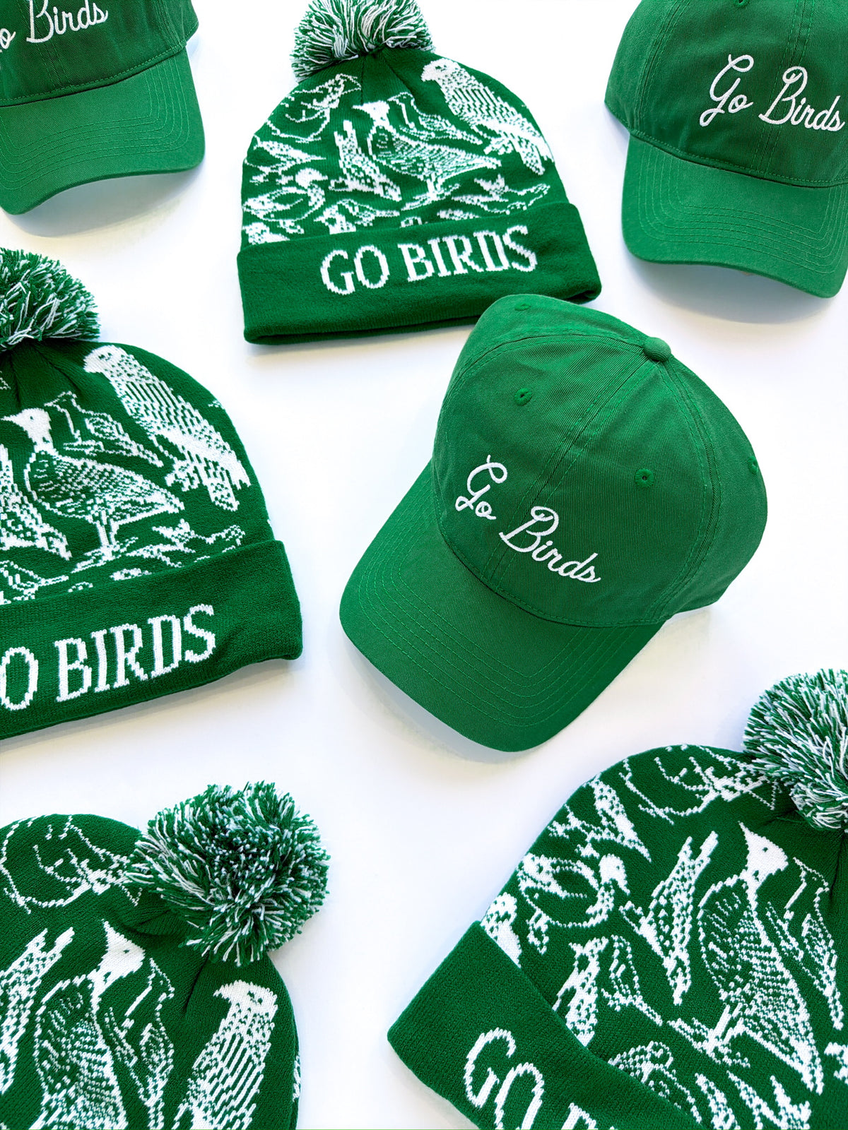 Go Birds Cap