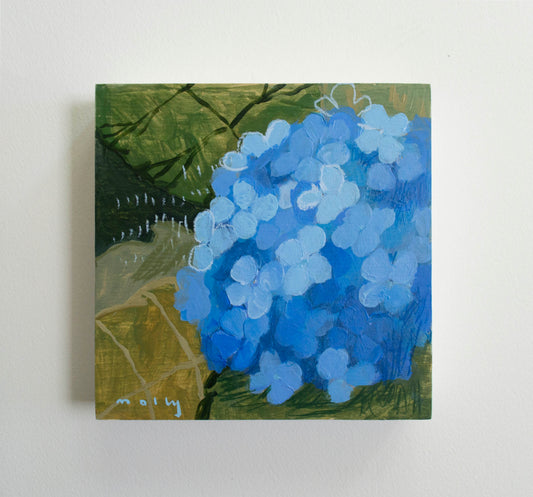 Blue Hydrangea No. 1 | 6 x 6