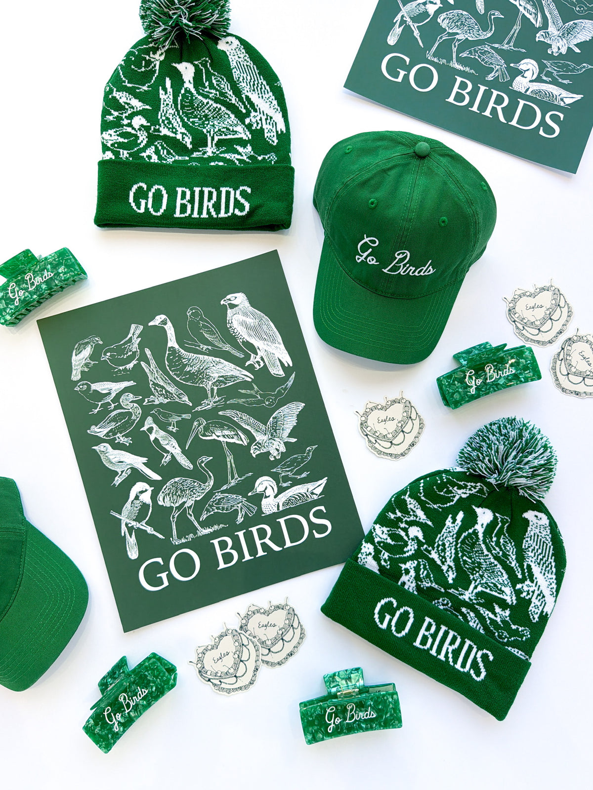 Go Birds Cap