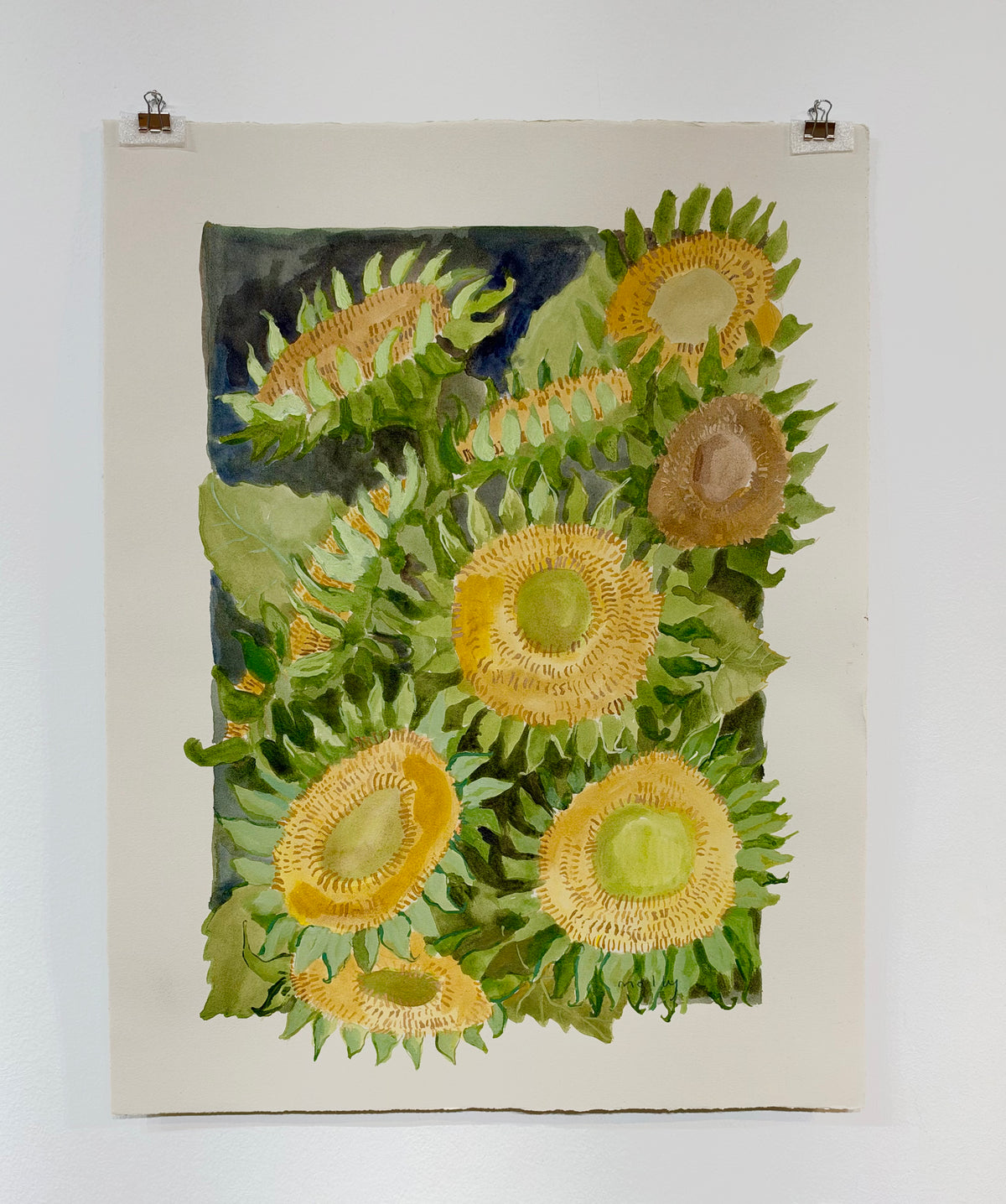 Green Sunflowers | 15 x 20