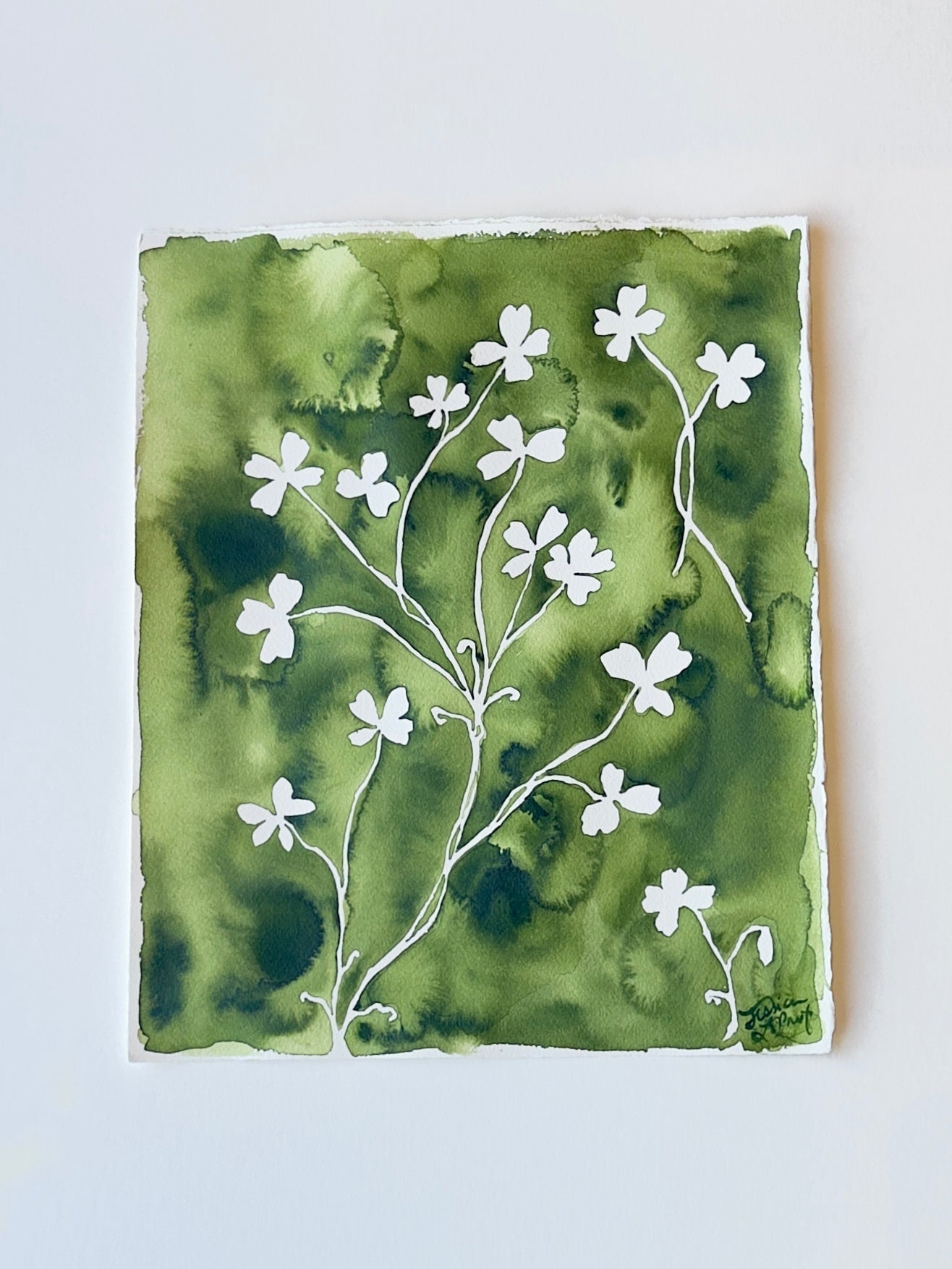 Clover No. 1 | 11.5 x 14