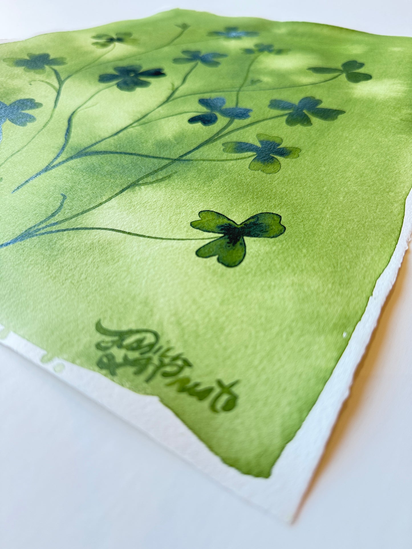 Clover No. 2 | 11.5  x 14