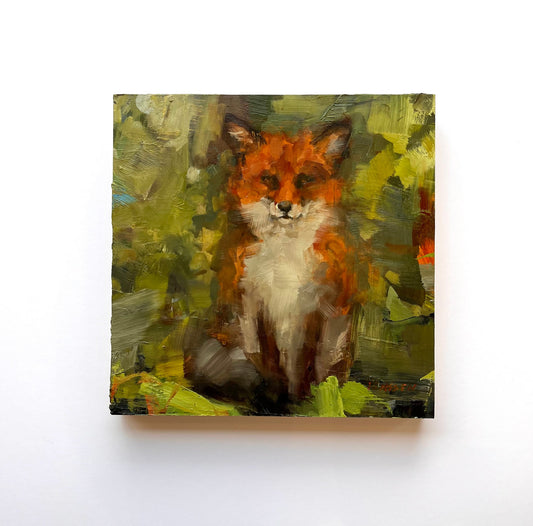 Summer Fox  |  12 x 12