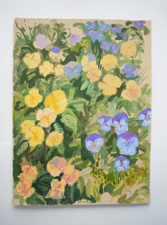 Pansy |  18 x 24