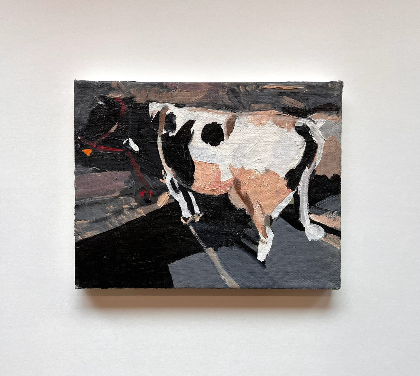 Cow | 10 x 8