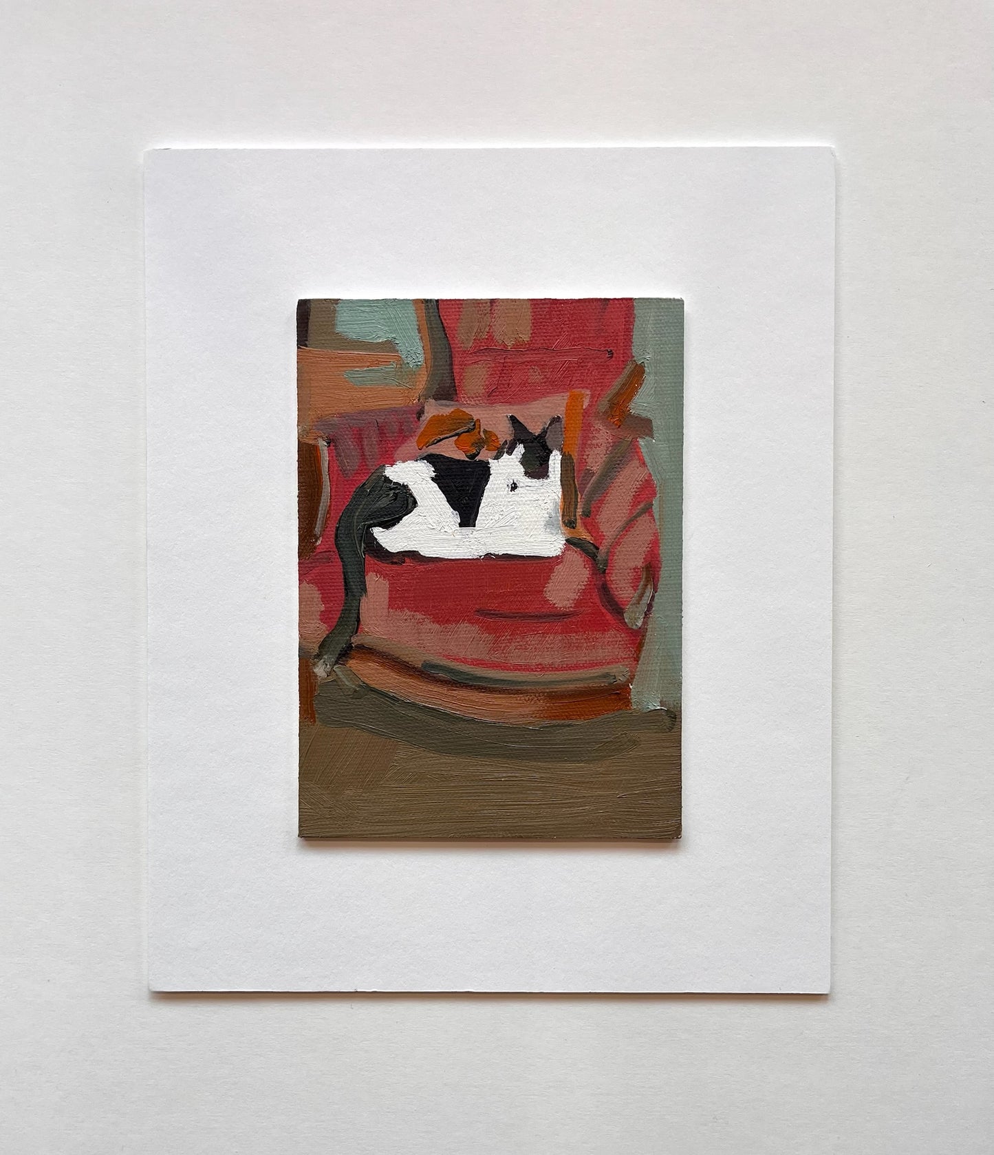 Cat | 5 x 7
