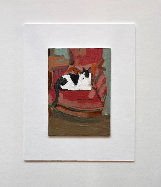 Cat | 5 x 7