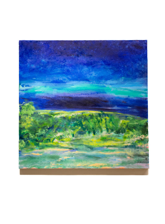 Nocturnal  |  30 x 30