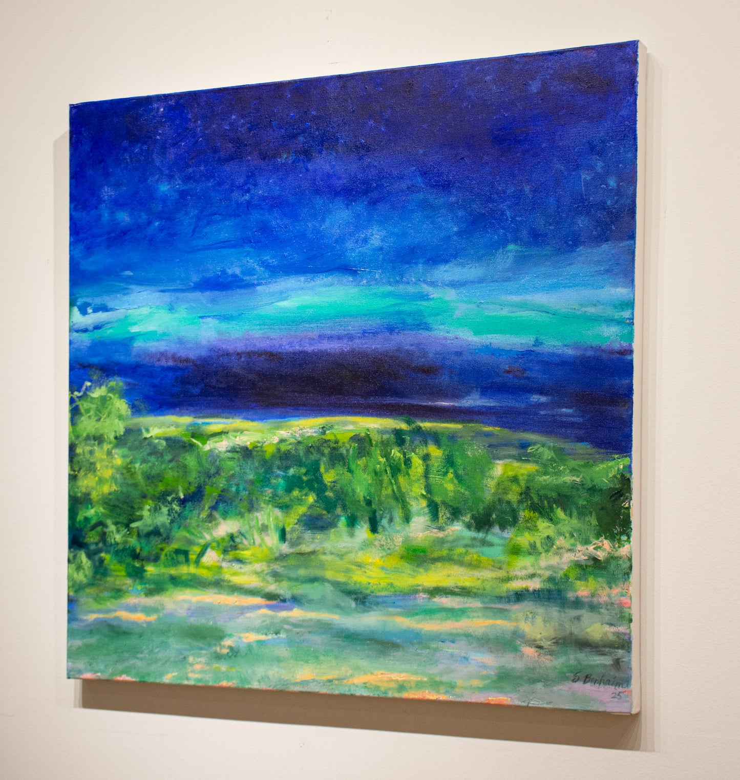 Nocturnal  |  30 x 30
