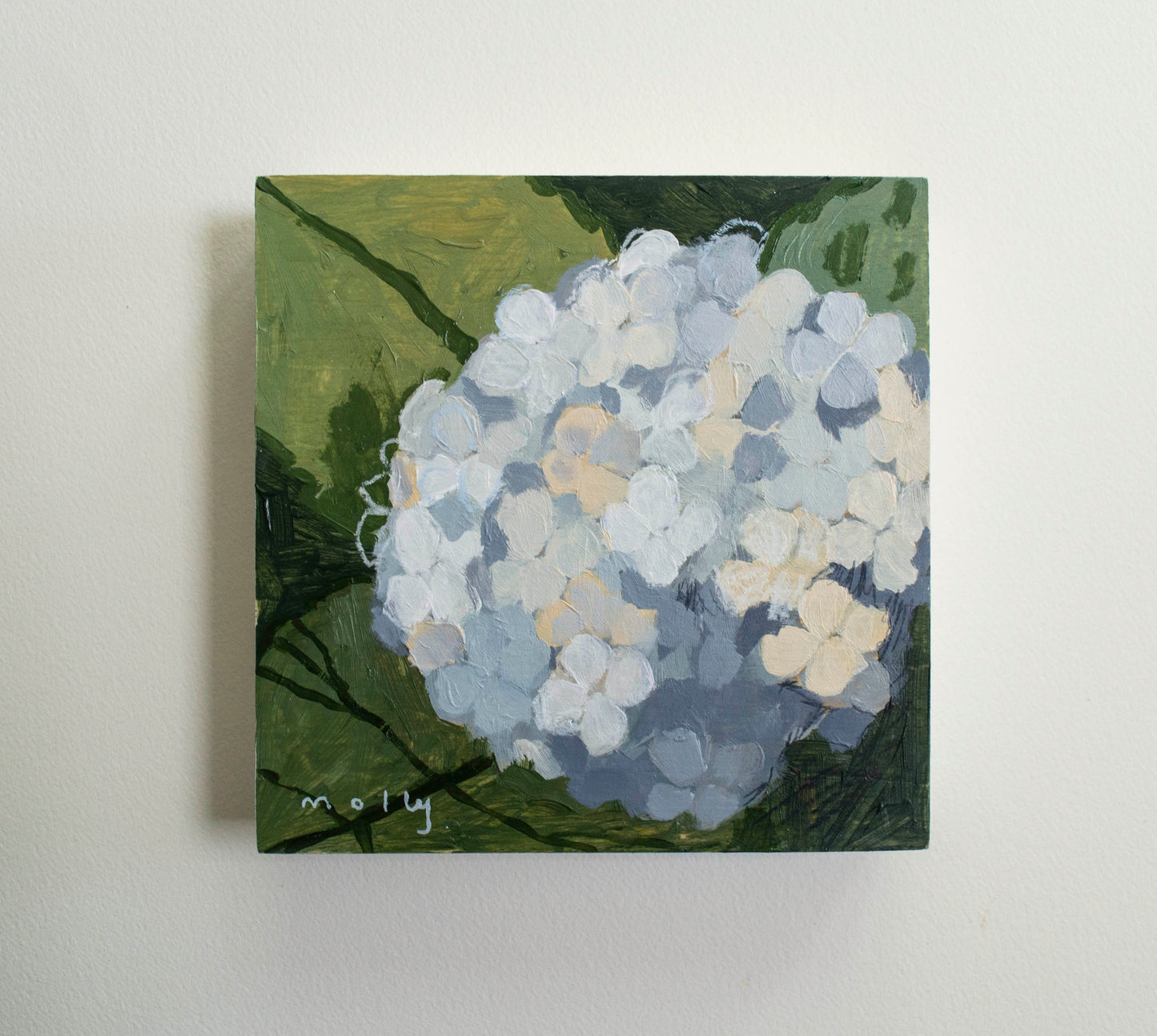 White Hydrangea | 6 x 6