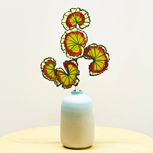 FOREVER FLOWER - GERANIUM LEAF