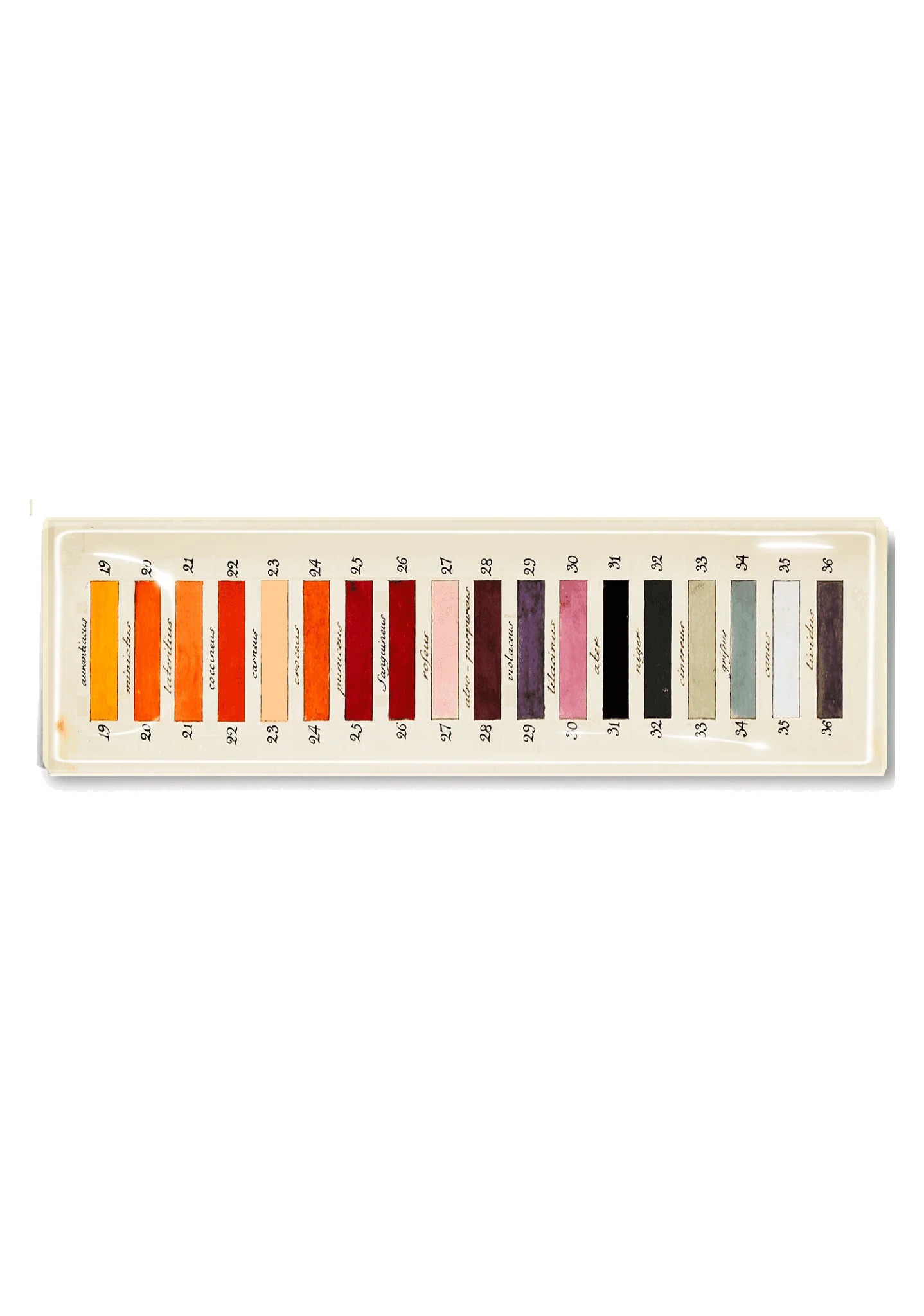 Paint Palette Decoupage Glass Tray